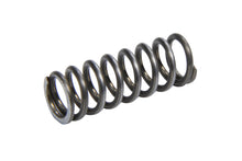 Load image into Gallery viewer, BERT TRANSMISSIONS SG-1158 Spring 5/16