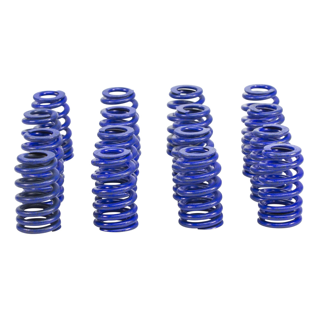 Beehive-Hustler-Springs-For-Gm-604Ct525-Ls-Crate-Engine
