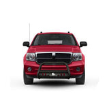 BLACK HORSE CBT-C105SP Bull Bar-T