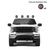 BLACK HORSE RB001SS-PLFR Classic Roll Bar Kit