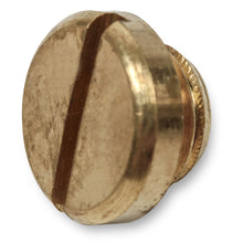 Load image into Gallery viewer, Brass-Sight-Plug