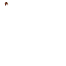 Load image into Gallery viewer, Brown-(Wide)-Pump-Cam-50-Cc-(Except-Qfx--4500-Style)-Each