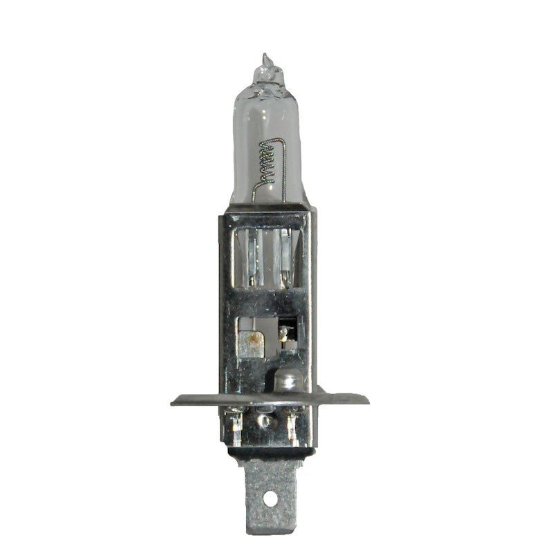 Bulb-H1-Dp-24V-70W-P14.5S