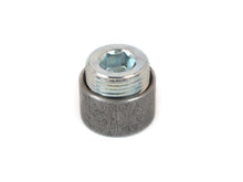Load image into Gallery viewer, CANTON 20-888 Inspection Plug