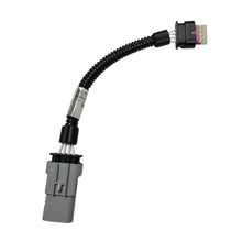 Load image into Gallery viewer, Kooks Custom Headers CAS-109264-KOOKS O2 Sensor Ext-2024+F150 FORD for Select Ford F-150