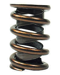 CROWER 68195-16 Valve Springs - 1.045