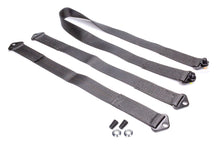 Load image into Gallery viewer, CROW SAFETY GEAR SP-54 Tethers For Sprint Car Wing Chassis