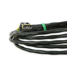 Load image into Gallery viewer, Cable-Adaptor-Efi-Holley-Molex