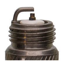 Load image into Gallery viewer, Champion-Premium-Small-Engine--Carded