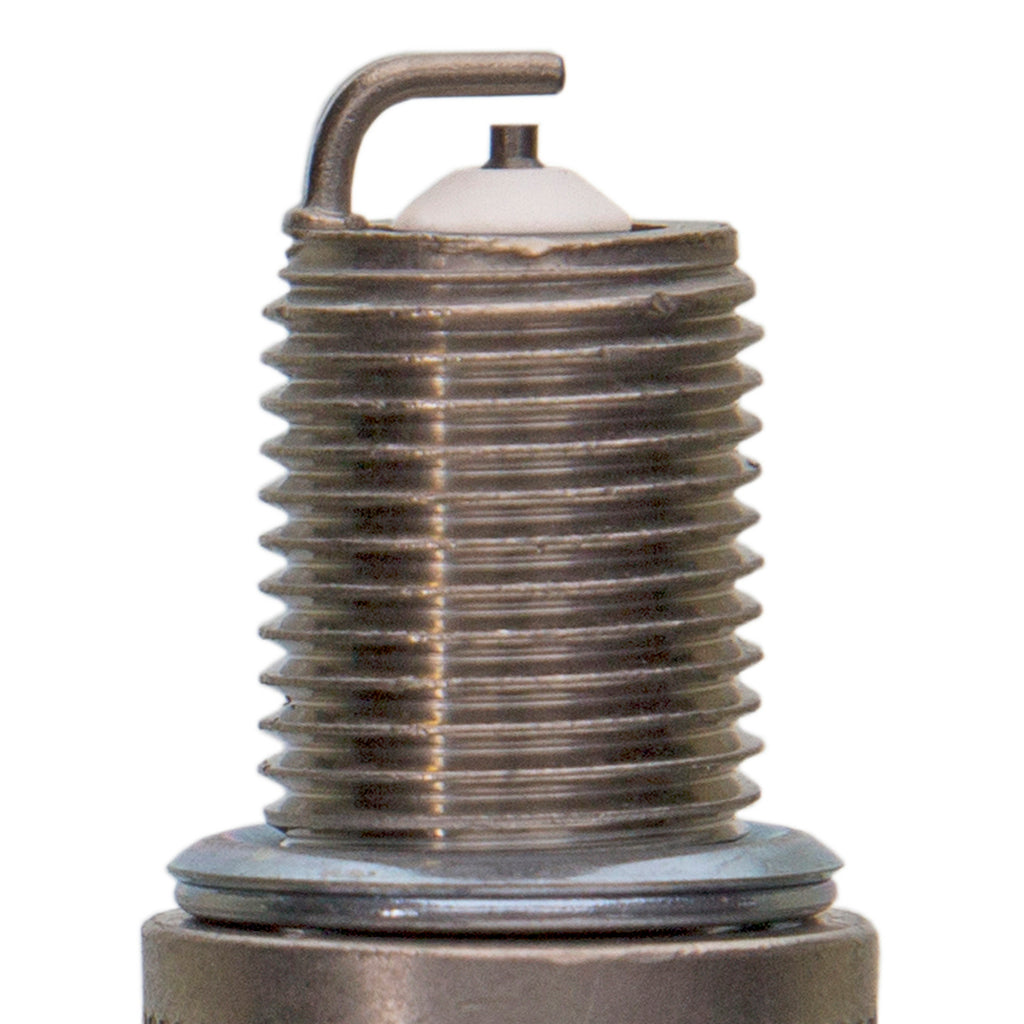 Champion-Premium-Small-Engine--Carded
