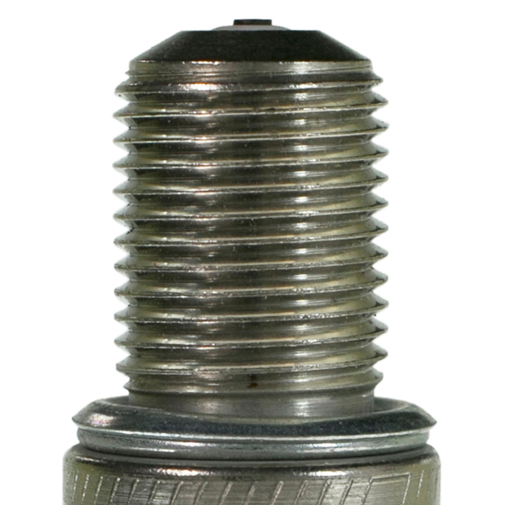 Champion-Racing-Plugs--Boxed---C57vc
