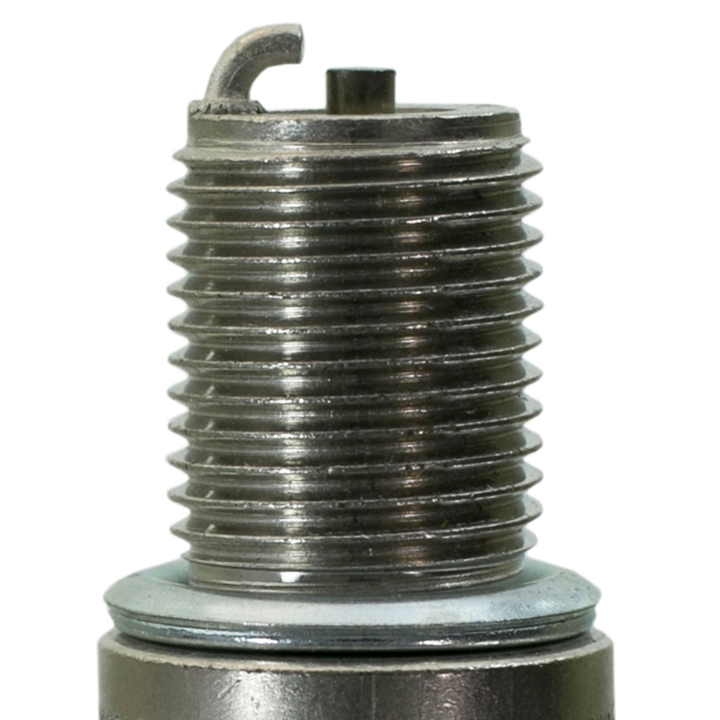 Champion-Racing-Plugs--Boxed---C59cx