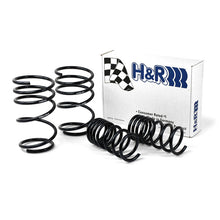 Load image into Gallery viewer, Coil-Spring-Lowering-Kit