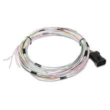 Load image into Gallery viewer, Connector-J1aB-InputOutputs-Auxiliary-Harness