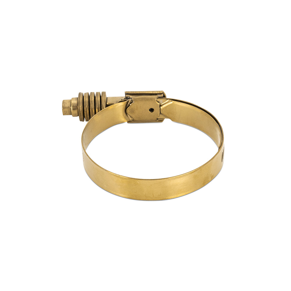 Constant-Tension-Worm-Gear-Clamp-1.77In.-2.60In.-(45Mm-66Mm)---Gold