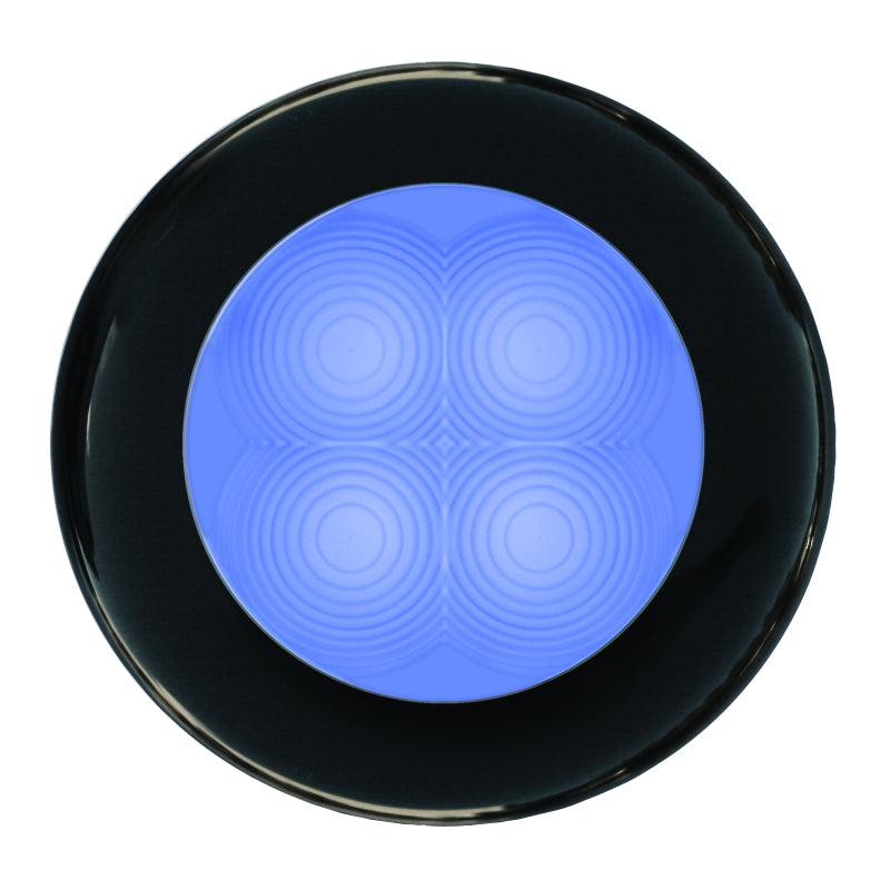 Courtesy-Blue---Black-Bezel