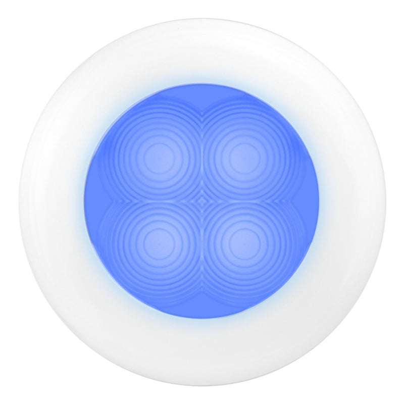 Courtesy-Lamp-Rnd-Blue-Md12-Wh-Rim-2Xt
