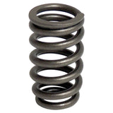 Crown Automotive 4781588AC Valve Spring