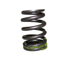 Load image into Gallery viewer, Crown-53021056-Valve-Spring