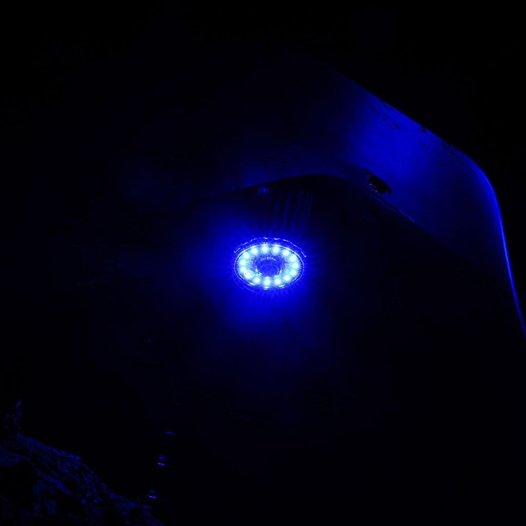 Cyclone-V2-Led---Replacement-Lens---Blue---Single
