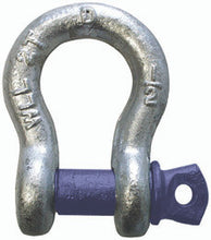Load image into Gallery viewer, Dynaline 66000 Screw Pin Anchor Shackle 1/4