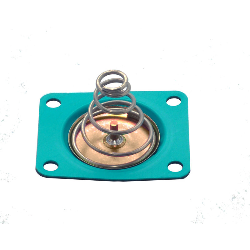 Diaphragm-Kit---Pressure-Regulator---Alcohol