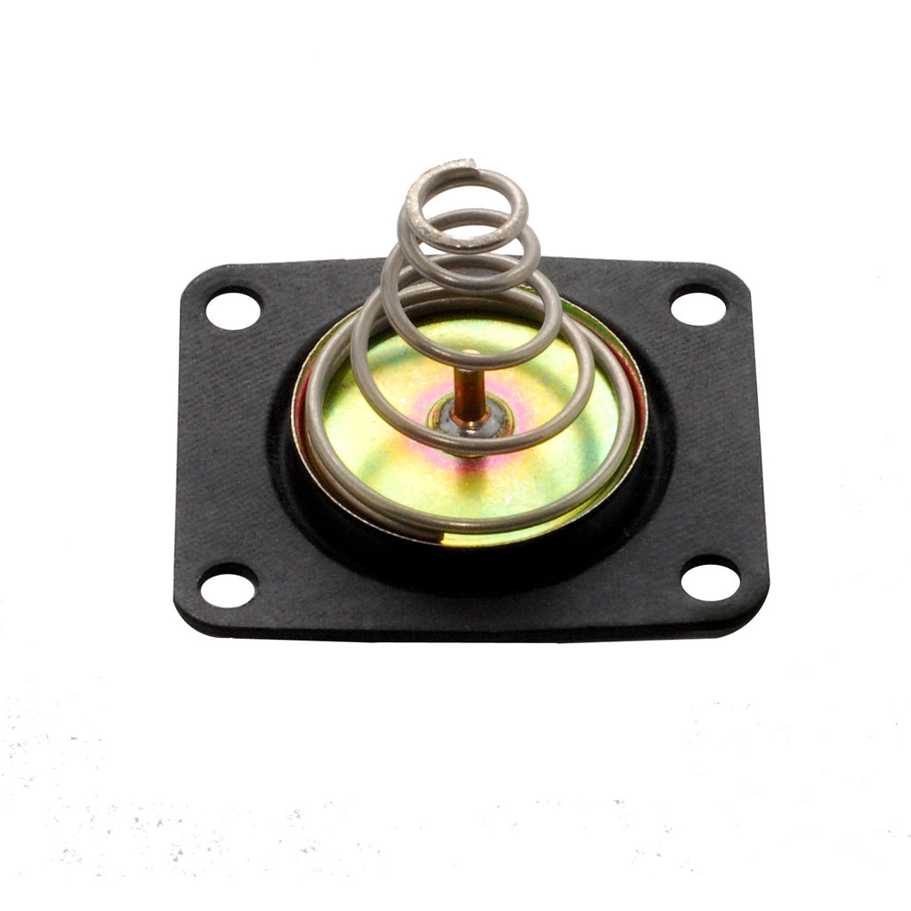 Diaphragm-Kit---Pressure-Regulator---Gas