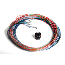 Load image into Gallery viewer, Dominator-Efi-Connector-J2b-Auxiliary-Harness