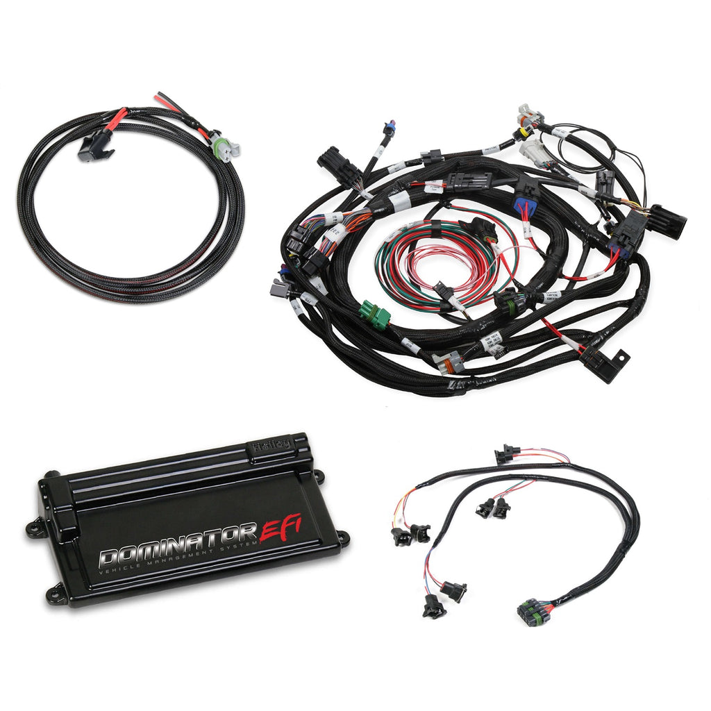 Dominator-Efi-Kit---Ford-WCop