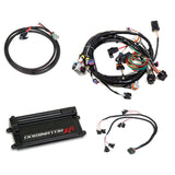 Holley 550-650 Dominator EFI Kit - LS1 Main Harness with EV1 Injector Harness