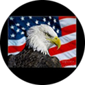Door-Valet-Led-Laser-Ghost-Shadow-Valet-Light-(Eagle)