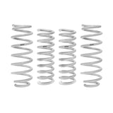 Eibach E32-27-004-02-22 DRAG-LAUNCH Kit (Performance Springs)