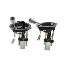 Load image into Gallery viewer, Dual-255-Lph-Pump-Module-System--510-Lph-Total