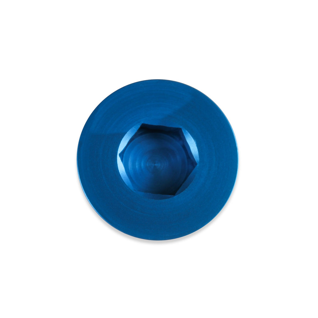 Earls-An-Port-Plug---Allen-Head