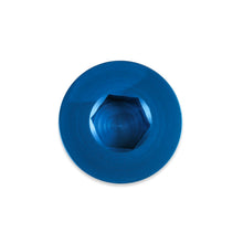 Load image into Gallery viewer, Earls-An-Port-Plug---Allen-Head