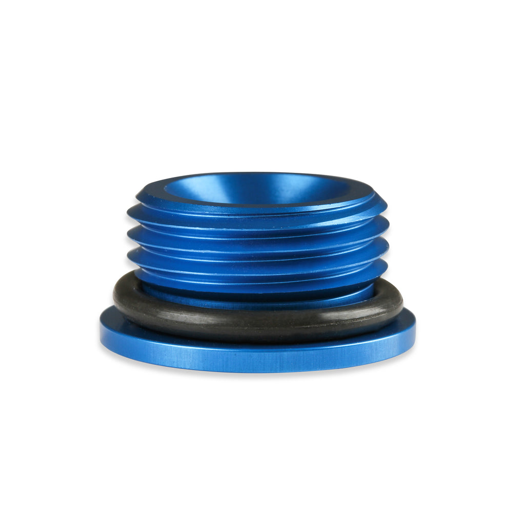 Earls-An-Port-Plug---Allen-Head