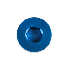 Load image into Gallery viewer, Earls-An-Port-Plug---Allen-Head