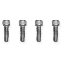 Load image into Gallery viewer, Earls-Electric-Water-Pump-Block-Adapters---Pair---Fits-Gm-Ls-Engines