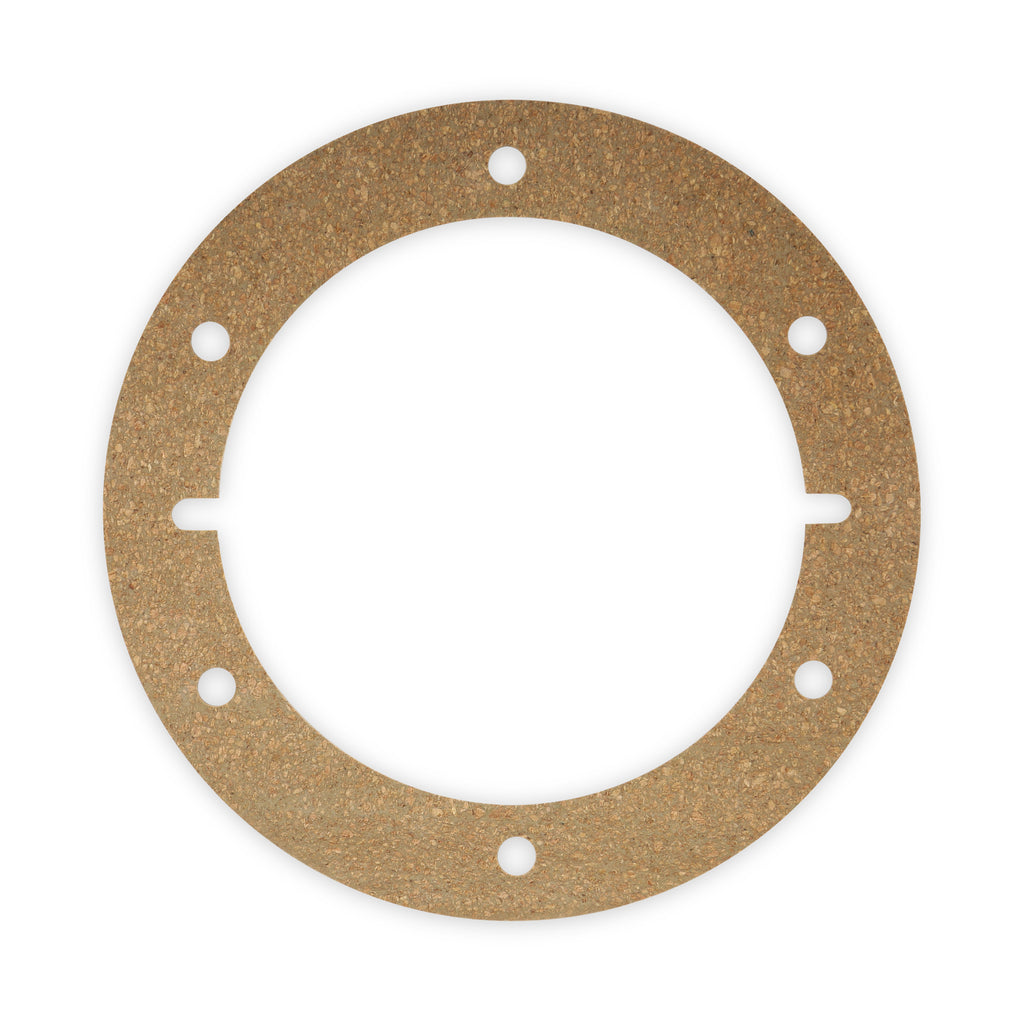 Earls-Gasket-Holley-Fuel-Cell-Efi-Fuel-Pump-Module-W-6-Bolt-Flange