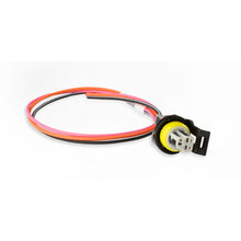 Load image into Gallery viewer, Earls-Gm-Lt-Gen-V-Oil-Pressure-Sensor-Kit-W-Adapter--Plug