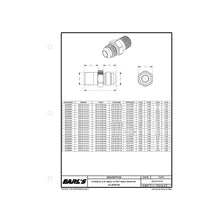 Load image into Gallery viewer, Earls-Straight-Male-An--6-To-18-Npt