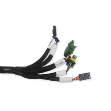 Load image into Gallery viewer, Efi-Benchtop-Test-Harness-For-Firmware-Updating-Dash-Configuration-And-Ecu-Testi