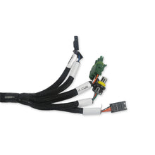 Load image into Gallery viewer, Efi-Benchtop-Test-Harness-For-Firmware-Updating-Dash-Configuration-And-Ecu-Testi