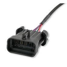 Load image into Gallery viewer, Efi-Dual-Sync-Ford-302-Distributor