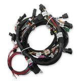 Holley 558-110  Efi Ford Coyote Engine Main Harness W/ Ti-Vct And Stock Coils (2011-2017)