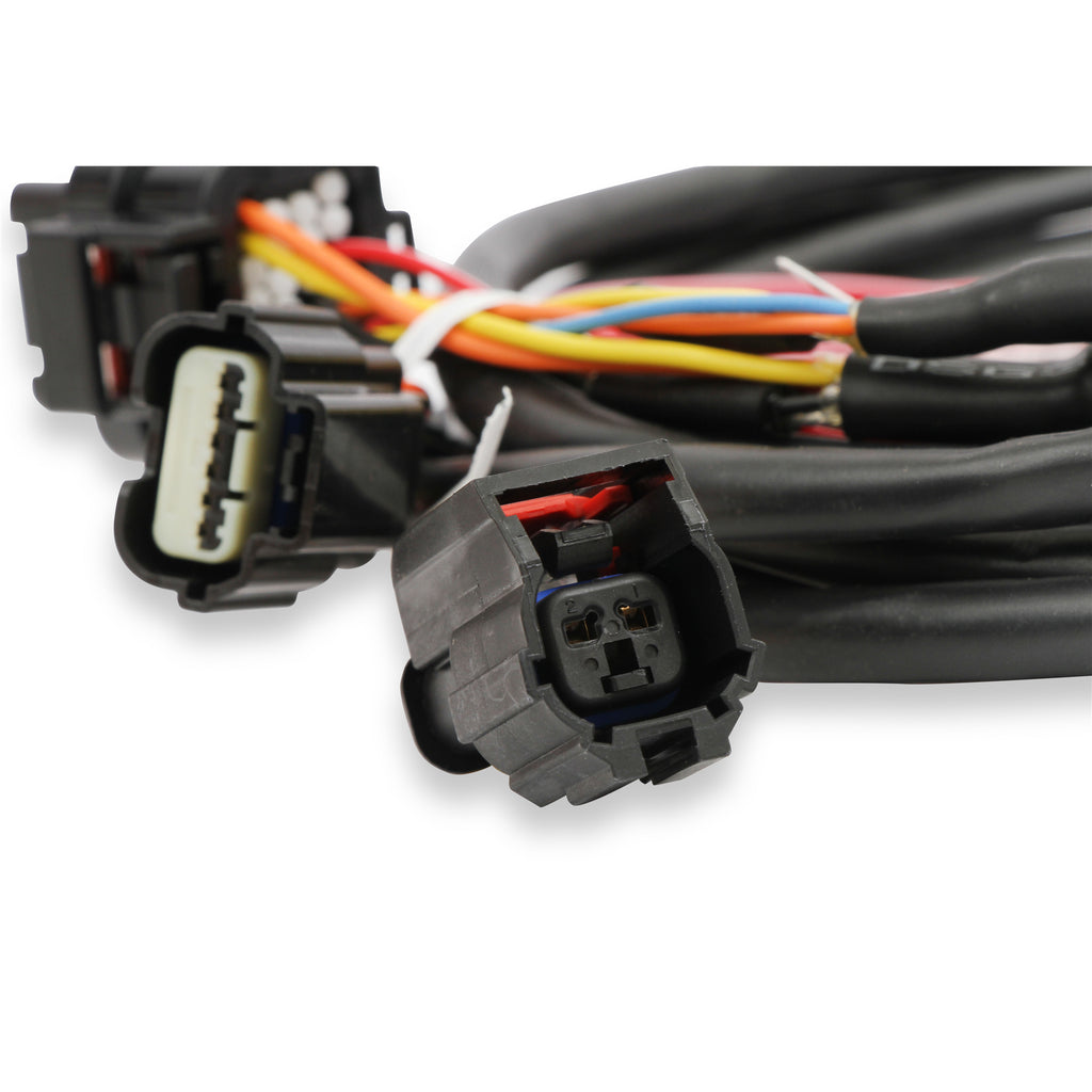 Efi-Ford-Gt500-And-3V-Drive-By-Wire-Throttle-Body-Harness