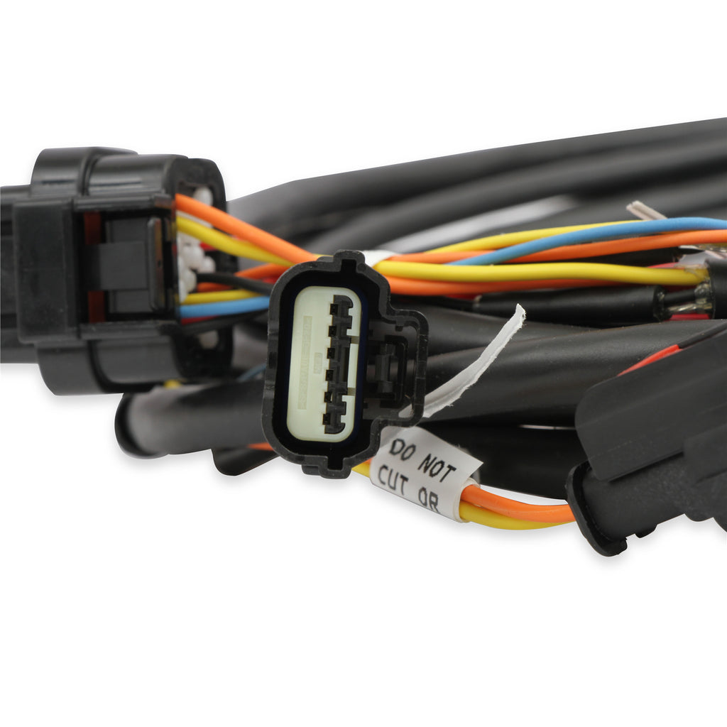 Efi-Ford-Gt500-And-3V-Drive-By-Wire-Throttle-Body-Harness