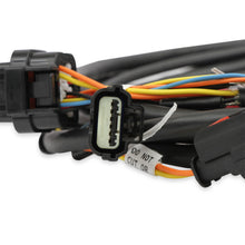 Load image into Gallery viewer, Efi-Ford-Gt500-And-3V-Drive-By-Wire-Throttle-Body-Harness