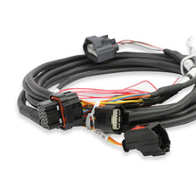 Load image into Gallery viewer, Efi-Ford-Gt500-And-3V-Drive-By-Wire-Throttle-Body-Harness