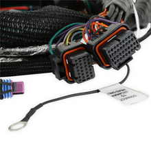 Load image into Gallery viewer, Efi-Gen-V-Lt-Engine-Main-Harness